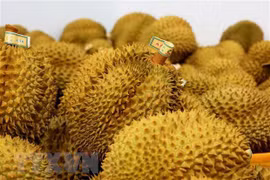 Ventas de frutas y verduras aporta a Vietnam cinco mil millones de USD
