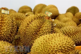 Ventas de frutas y verduras aporta a Vietnam cinco mil millones de USD