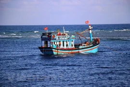 (Video)Garantizan seguridad de pescadores en medio del COVID-19 