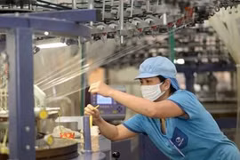 Vietnam apoya esfuerzos de la OIT para abordar desafíos laborales del futuro