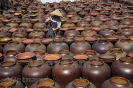 [Foto] Salsa de soja, una delicadeza de la provincia vietnamita de Hung Yen