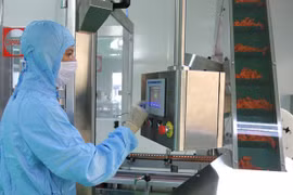 Mercado farmacéutico de Vietnam apunta a crecer 10 por ciento en 2020