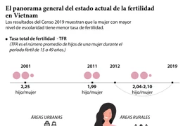 El panorama general del estado actual de la fertilidad en Vietnam