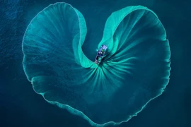 Exposición de fotos muestra belleza de Vietnam