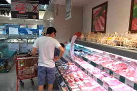 Vietnam adopta medidas para garantizar suministro de carne de cerdo ante avance de la PPA 