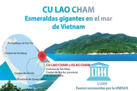 [Info] Cu Lao Cham, esmeraldas gigantes en el mar de Vietnam