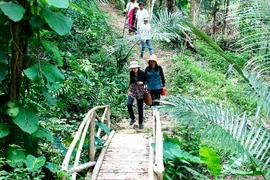 Binh Thuan desarrolla productos turísticos asociados a la agricultura sostenible
