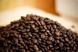 (Televisión) Sector cafetero vietnamita busca aumentar el valor agregado de productos