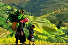 (Televisión) Promueven en Vietnam el turismo comunitario