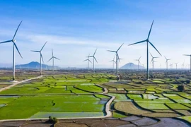 Crecimiento verde: Solución eficaz para el desarrollo sostenible