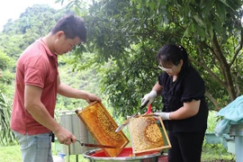 Busca Vietnam solución para reducción de pobreza sostenible