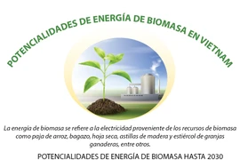 Potencialidades de energía de biomasa en Vietnam 