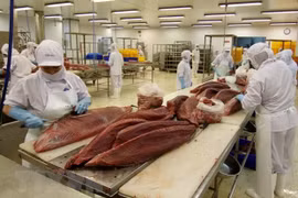 Comercio exterior de Vietnam alcanza 21 mil 410 millones de dólares en primera mitad de febrero