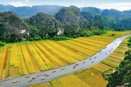 Google Arts & Culture destaca complejo paisajístico Trang An de Vietnam