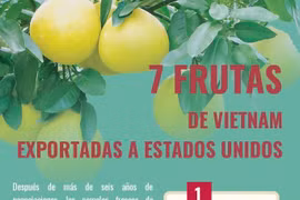 Siete frutas de Vietnam exportadas a Estados Unidos 
