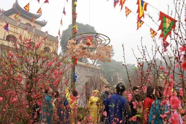 Cultivan costumbres del Tet en Ciudadela Imperial de Thang Long 