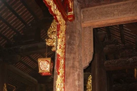 Misteriosa historia sobre el árbol Lim en provincia central de Thanh Hoa