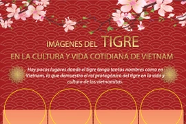 Imágenes del tigre en la cultura y vida cotidiana de Vietnam