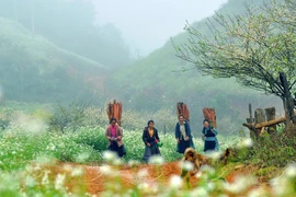 Moc Chau, destino natural de primera categoría de Asia 2023