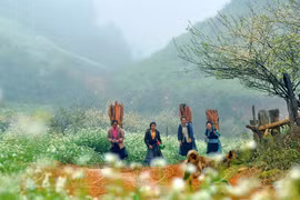 Moc Chau, destino natural de primera categoría de Asia 2023