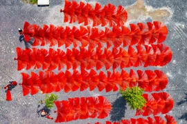 Aldea de tejeduría de esteras en Vietnam