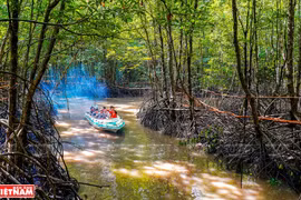 Desarrollo de turismo sostenible en el extremo sur de Vietnam