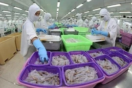 Vietnam, quinto mayor exportador de camarón a Estados Unidos en 2021