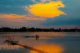 Belleza de final de temporada flotante en provincia vietnamita de Hau Giang