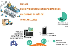 Ocho productos con exportaciones valoradas en más de 10 mil millones de dólares 