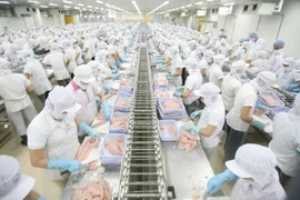 Aumenta inversión extranjera directa en Vietnam entre enero y noviembre 