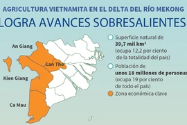 Agricultura vietnamita en el delta del río Mekong logra avances sobresalientes