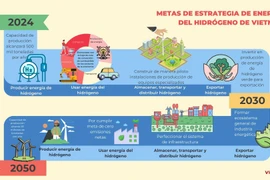 Metas de estrategia de energía del hidrógeno de Vietnam