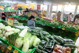 Llevan productos vietnamitas con estándares de exportación a canales minoristas internos