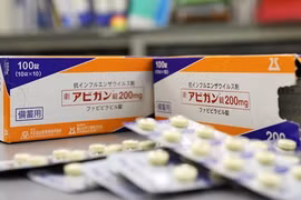 Materia médica vietnamita tiene gran potencial de desarrollo en mercado japonés 