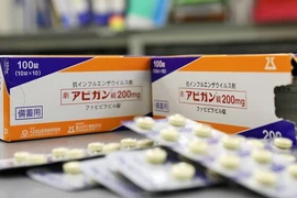 Materia médica vietnamita tiene gran potencial de desarrollo en mercado japonés 