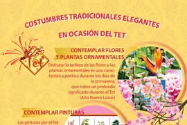 Costumbres tradicionales elegantes en ocasión del Tet