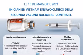 Inician en Vietnam ensayo clínico de la segunda vacuna contra COVID-19 