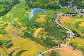 Experimenta turismo de Mu Cang Chai en Vietnam fuerte recuperación 