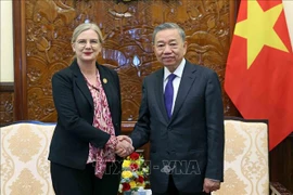 El presidente To Lam recibe a la embajadora de Suecia en Vietnam, Ann Mawe. (Fuente:VNA)