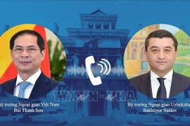 El ministro de Relaciones Exteriores de Vietnam, Bui Thanh Son, sostuvo conversaciones telefónicas con su homólogo de Uzbekistán, Bakhtiyor Saidov. (Fuente:VNA)