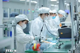 Vietnam impulsa formación de recursos humanos para industria de semiconductores y tecnologías digitales. (Fuente: VNA)