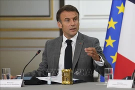 El presidente de Francia, Emmanuel Macron. (Fuente: AFP/VNA)