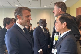 El viceprimer ministro y canciller de Vietnam, Bui Thanh Son, y el presidente francés, Emmanuel Macron. (Fuente:VNA)