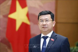 El jefe de la Comisión de Relaciones Exteriores de la Asamblea Nacional (Parlamento) de Vietnam, Vu Hai Ha. (Fuente: VNA)