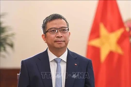 El viceministro de Relaciones Exteriores de Vietnam, Pham Thanh Binh. (Fuente: VNA)