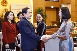 El presidente de la Asamblea Nacional de Vietnam, Tran Thanh Man, dialoga con nuevos jefes de agencias representativas de Vietnam en el extranjero. (Fuente: VNA)
