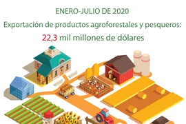 [Info] Exportación de productos agroforestales y pesqueros: 22,3 mil millones de dólares