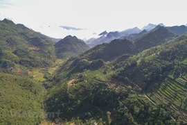 [Foto] Majestuosa belleza de la naturaleza en Bac Ha