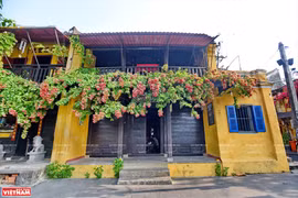 [Foto] Conocida ciudad turística de Hoi An en medio de COVID-19