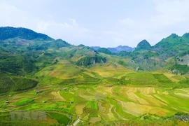 [Foto] Encantadora belleza de las montañas del noroeste